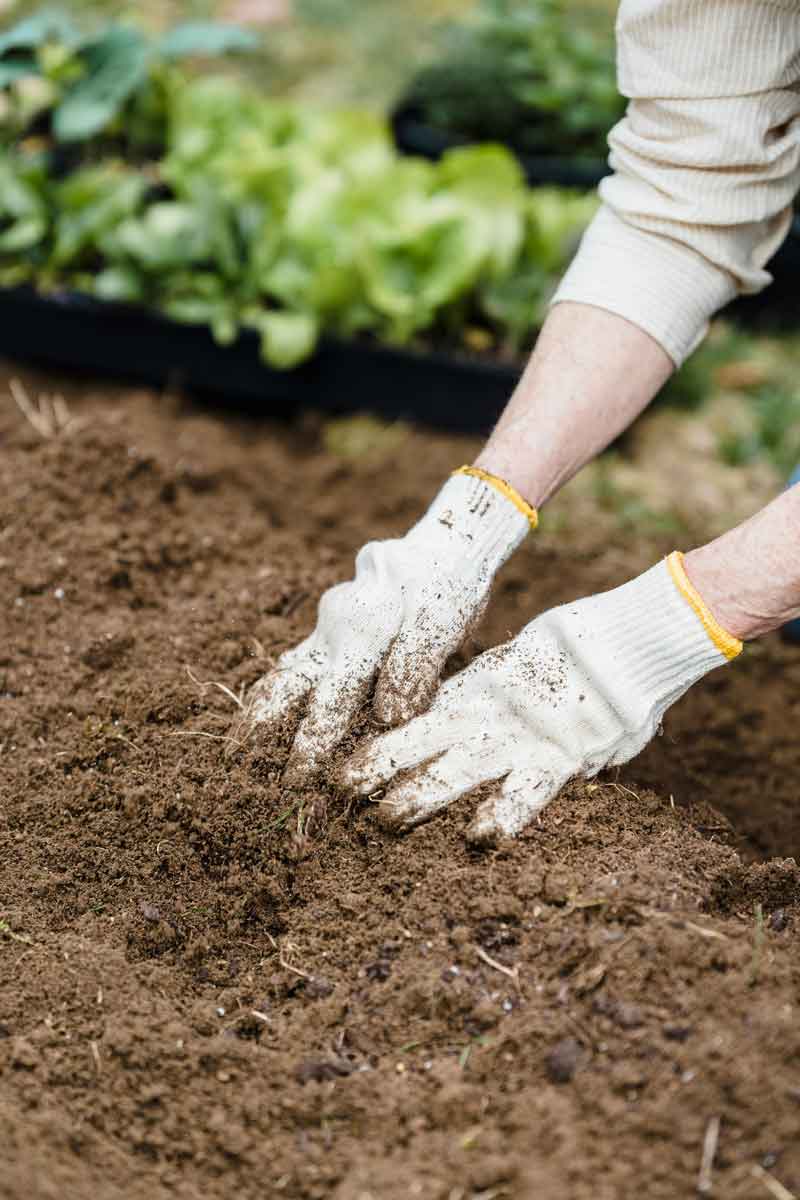 actividades-que-son-experiencias sensoriales creadas por el proyecto living soils para regenerar suelos urbanos actividades-que-son-experiencias sensoriales creadas por el proyecto living soils para regenerar suelos urbanos