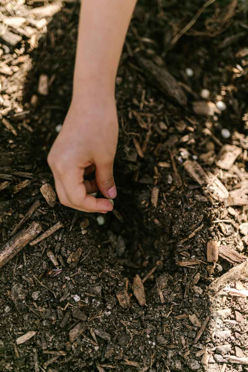 Gimkana sensorial de suelos en el proyecto living soils