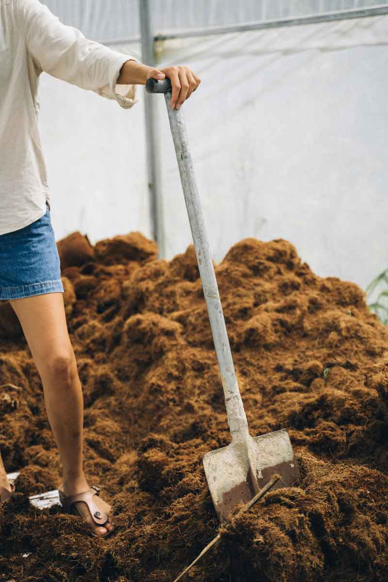 juegos y experiencias educativas living soils
