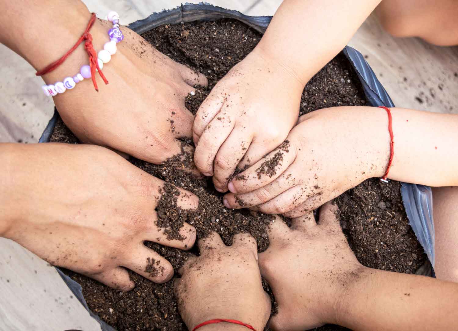Manos de varias personas uniéndose sobre un recipiente con tierra