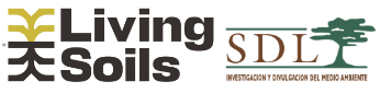 Living Soils | Proyecto piloto para la regeneración de suelos urbanos