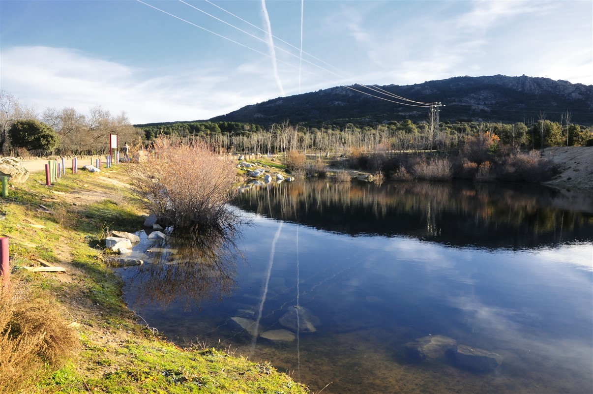 La Laguna del Gato. Zona de recuperación de anfibios.