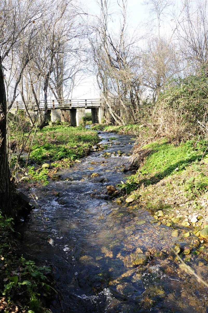 Río Navacerrada