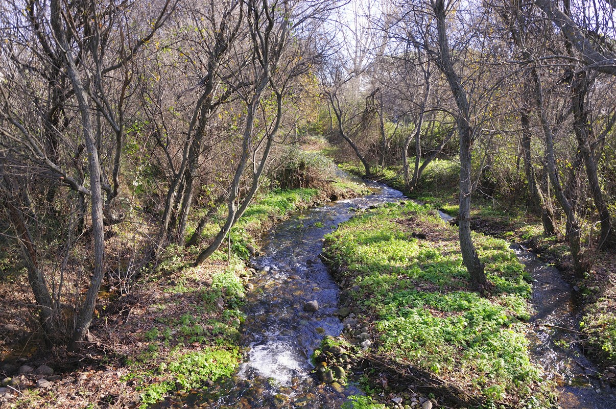 Río Navacerrada a su paso por Moralzarzal.