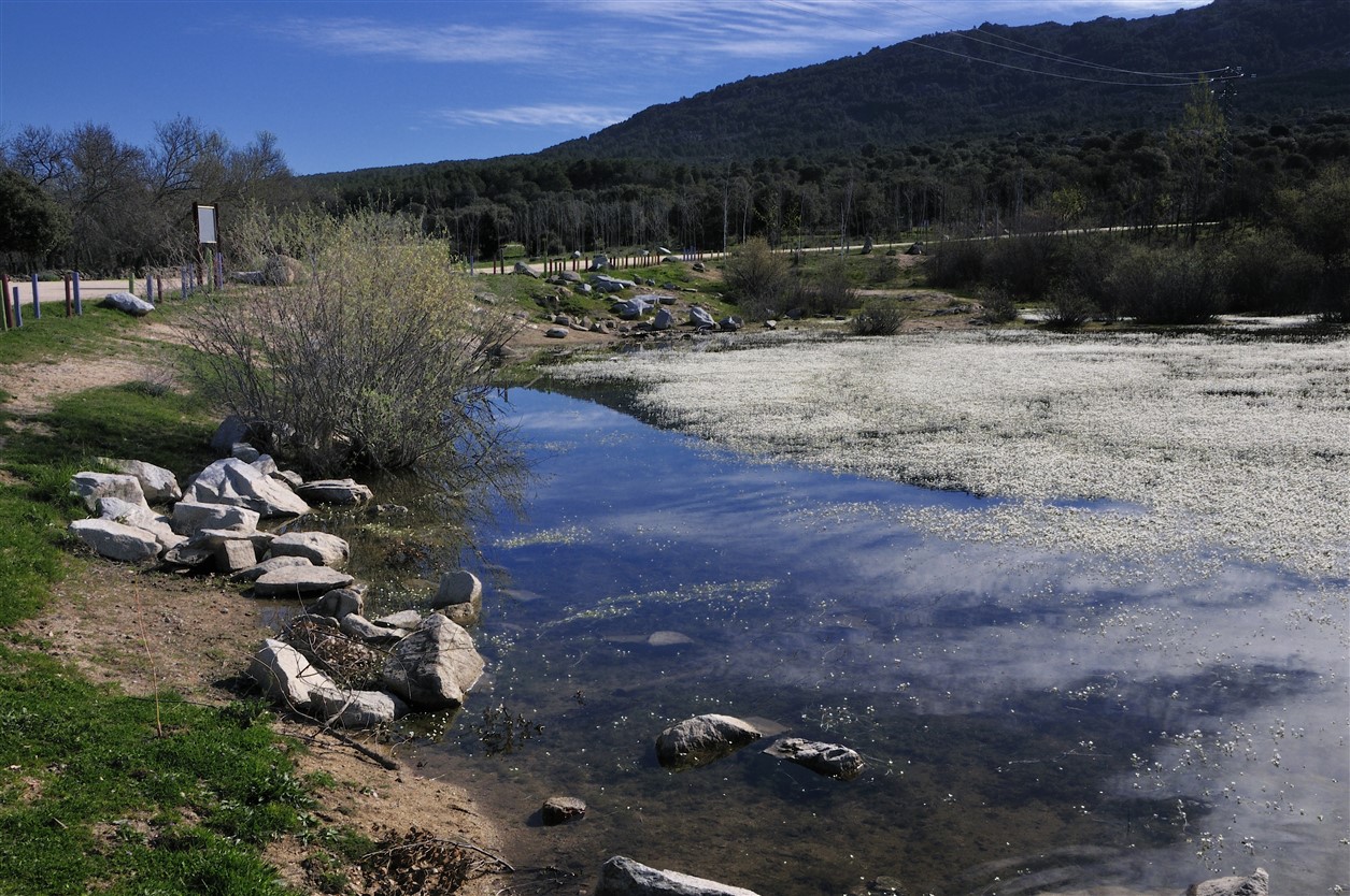 La Laguna del Gato en nuestra ruta.