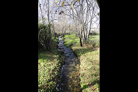 Río Navacerrada.