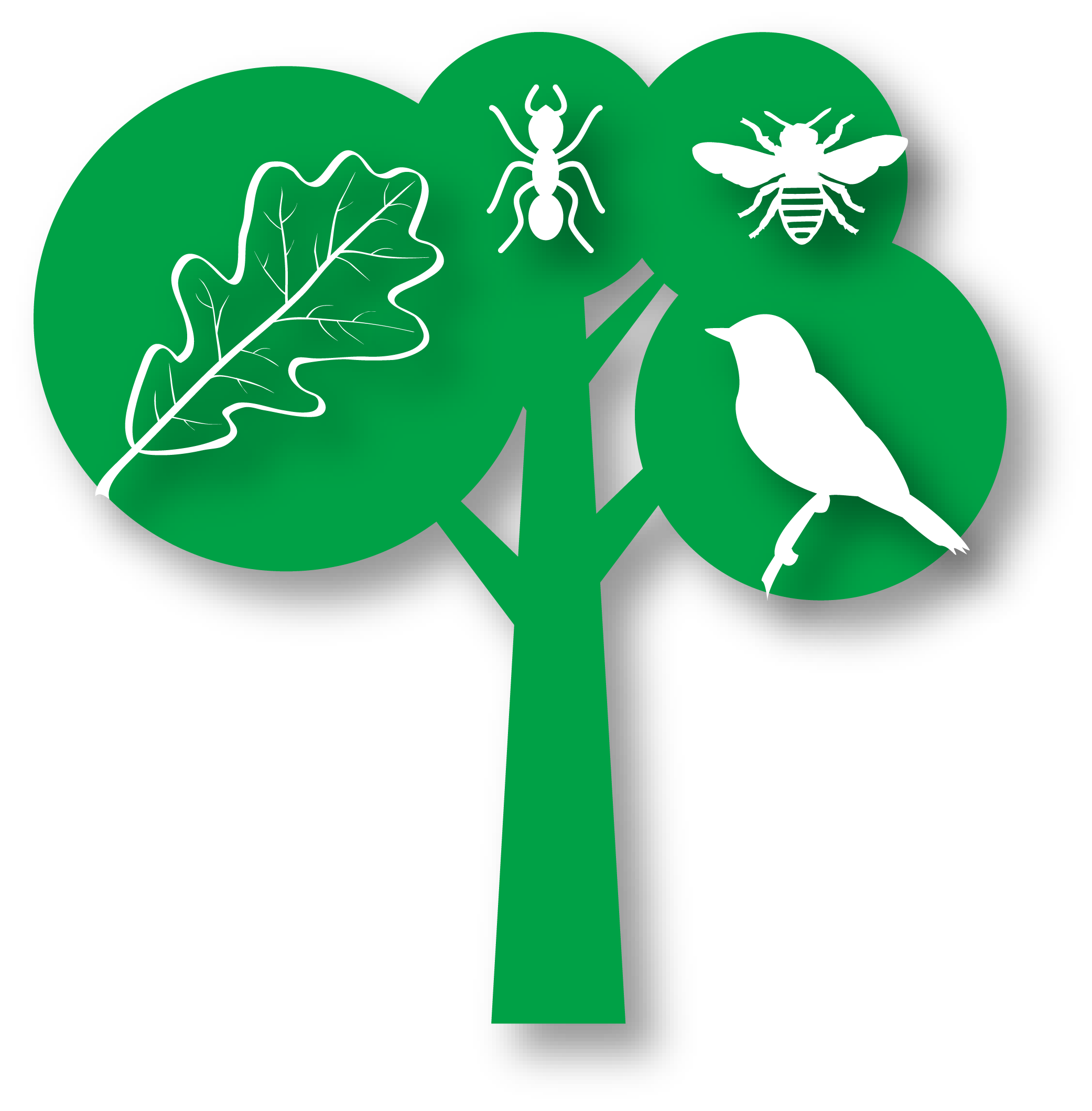 Logo La Ruta del Bio Bosque