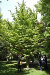  DSC0098 renamed 22065