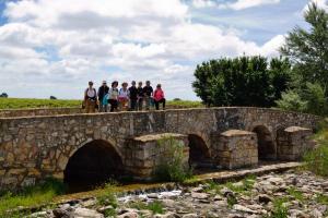 Ruta Encina de Ruli - Senda verde río Záncara.13