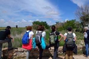Ruta Encina de Ruli - Senda verde río Záncara.14
