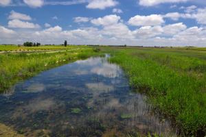 Ruta Encina de Ruli - Senda verde río Záncara.15