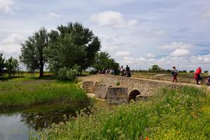Ruta Encina de Ruli - Senda verde río Záncara.16