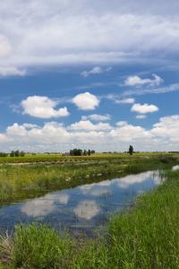 Ruta Encina de Ruli - Senda verde río Záncara.17