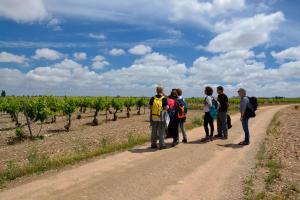Ruta Encina de Ruli - Senda verde río Záncara.20