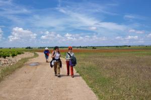 Ruta Encina de Ruli - Senda verde río Záncara.29