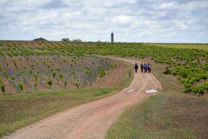 Ruta Encina de Ruli - Senda verde río Záncara.30