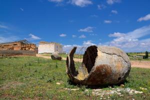 Ruta Encina de Ruli - Senda verde río Záncara.37