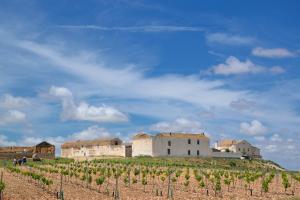 Ruta Encina de Ruli - Senda verde río Záncara.38