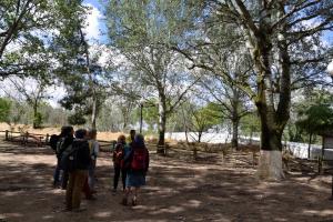 Ruta Encina de Ruli - Senda verde río Záncara.4