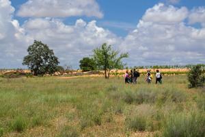Ruta Encina de Ruli - Senda verde río Záncara.44