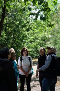 Ruta Encina de Ruli - Senda verde río Záncara.9