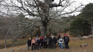 Piedralaves 5 Marzo 2016. La Casa Encendida  