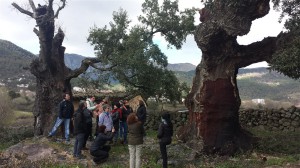 Piedralaves 5 Marzo 2016. La Casa Encendida  