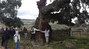 Piedralaves 5 Marzo 2016. La Casa Encendida  