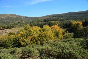 Ruta Dehesa boyal de Somosierra. 26 octubre 2019