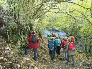 Dehesa boyal de Somosierra .Fotos José Luis Martinez 002