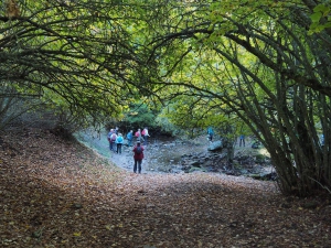 Dehesa boyal de Somosierra .Fotos José Luis Martinez 003