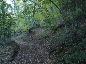 Dehesa boyal de Somosierra .Fotos José Luis Martinez 005