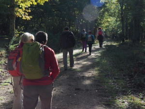Dehesa boyal de Somosierra .Fotos José Luis Martinez 008