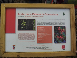 Dehesa boyal de Somosierra .Fotos José Luis Martinez 009