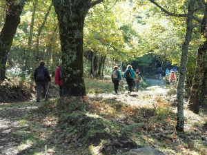 Dehesa boyal de Somosierra .Fotos José Luis Martinez 013