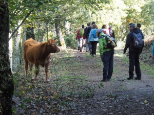 Dehesa boyal de Somosierra .Fotos José Luis Martinez 016