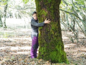 Dehesa boyal de Somosierra .Fotos José Luis Martinez 017