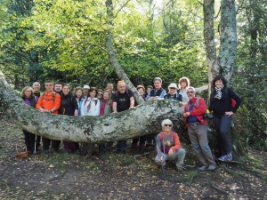 Dehesa boyal de Somosierra .Fotos José Luis Martinez 019