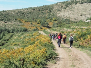 Dehesa boyal de Somosierra .Fotos José Luis Martinez 023