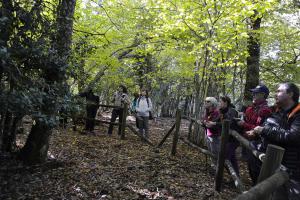 Dehesa boyal de Somosierra 26 octubre de 2019 022 