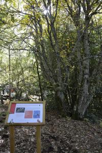 Dehesa boyal de Somosierra 26 octubre de 2019 024