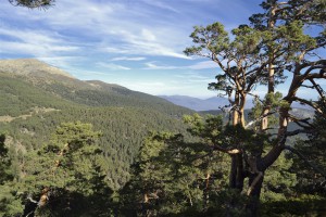 Valle de la Angostura - Tejos de Valhondillo. 19 Diciembre 2015