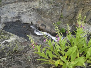      Casa Encendida. Salida Campillo de Ranas – Matallana.31 mayo 2014