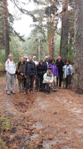 Salida al Pino de la Cadena