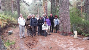 Salida al Pino de la Cadena