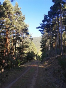 Salida Rebollo de la Maleza.