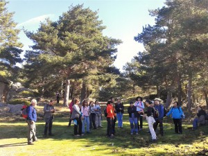 Salida Rebollo de la Maleza.