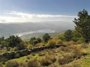 Salida Rebollo de la Maleza.