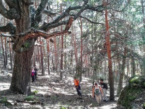 Salida Rebollo de la Maleza.