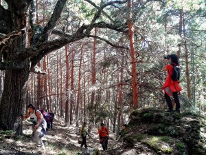 Salida Rebollo de la Maleza.